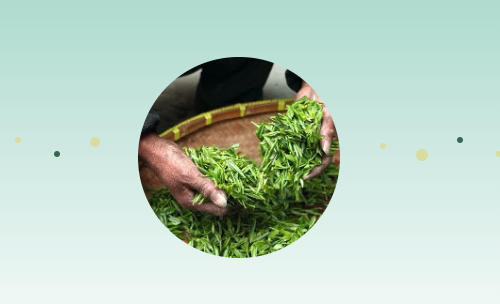 节气说·谷雨|雨生百谷 万物更新