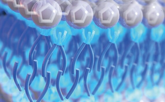 离子液体.png 离子液体.png